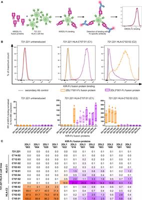 Host KIR/HLA-C Genotypes Determine HIV-Mediated Changes of the NK Cell Repertoire and Are Associated With Vpu Sequence Variations Impacting Downmodulation of HLA-C